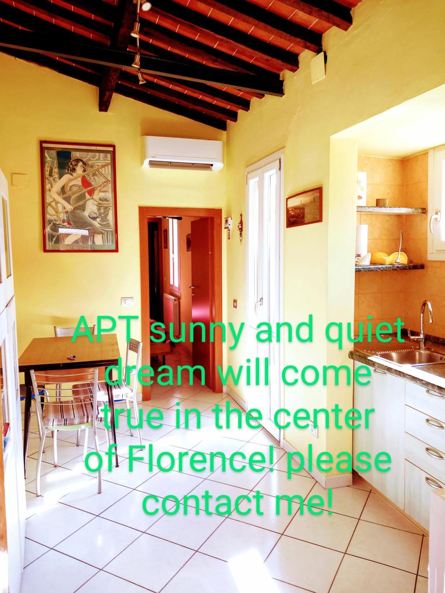 Apt Bright, Quiet! In The Center. Florence Exterior photo